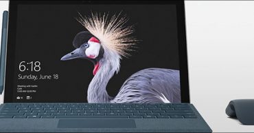 A picture of a bird as a wallpaper on a laptop