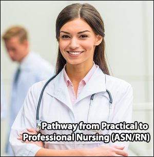 PROFESSIONAL NURSING (ASN in Nursing) (RN) 19 Months